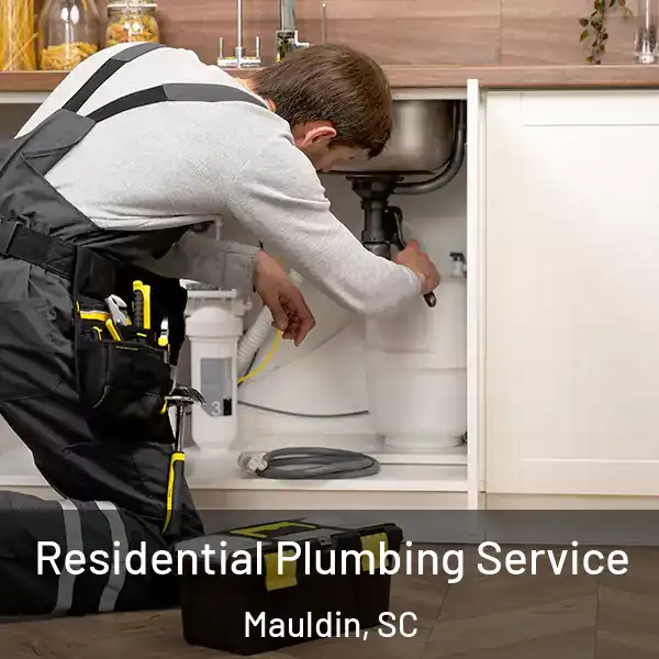  Residential Plumbing Service Mauldin, SC