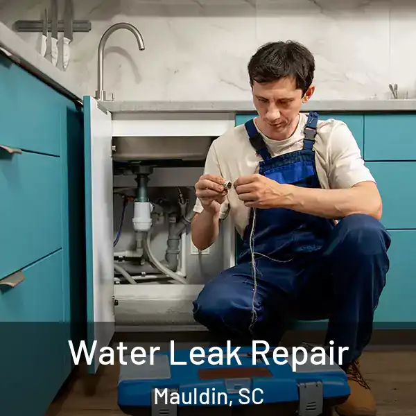  Water Leak Repair Mauldin, SC